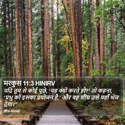 मरकुस 11:3 HINIRV Bible Verse Image