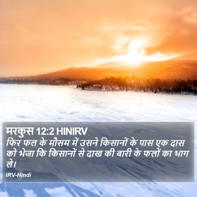 मरकुस 12:2 HINIRV Bible Verse Image