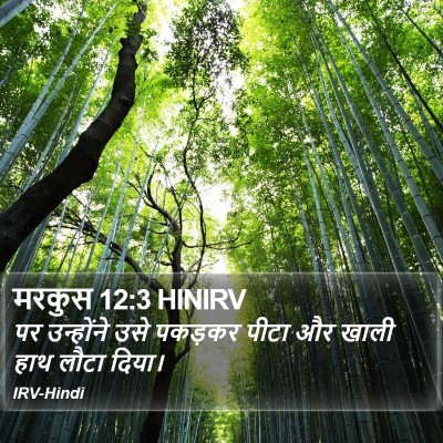 मरकुस 12:3 HINIRV Bible Verse Image