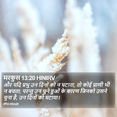 मरकुस 13:20 HINIRV Bible Verse Image