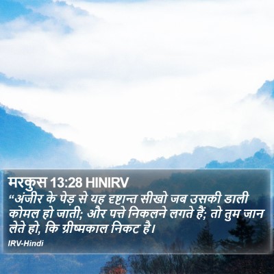 मरकुस 13:28 HINIRV Bible Verse Image