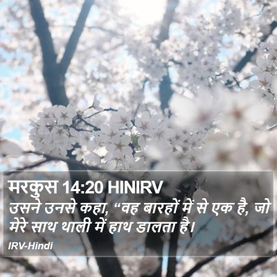 मरकुस 14:20 HINIRV Bible Verse Image