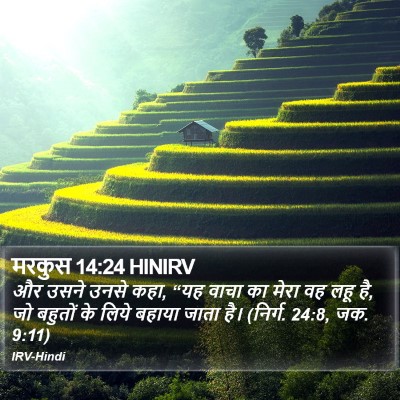 मरकुस 14:24 HINIRV Bible Verse Image