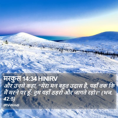 मरकुस 14:34 HINIRV Bible Verse Image