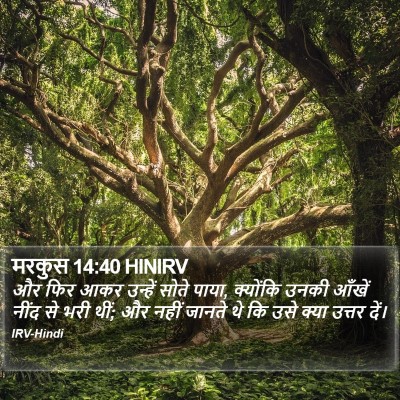 मरकुस 14:40 HINIRV Bible Verse Image