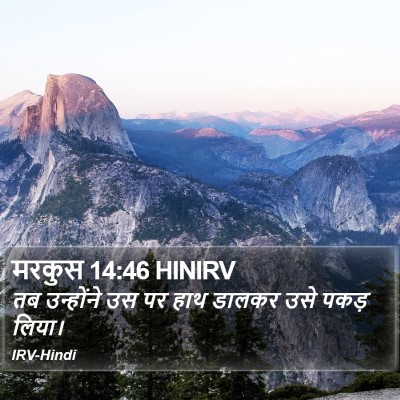 मरकुस 14:46 HINIRV Bible Verse Image