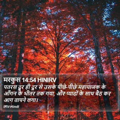 मरकुस 14:54 HINIRV Bible Verse Image