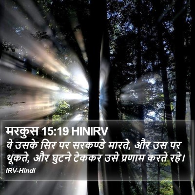 मरकुस 15:19 HINIRV Bible Verse Image
