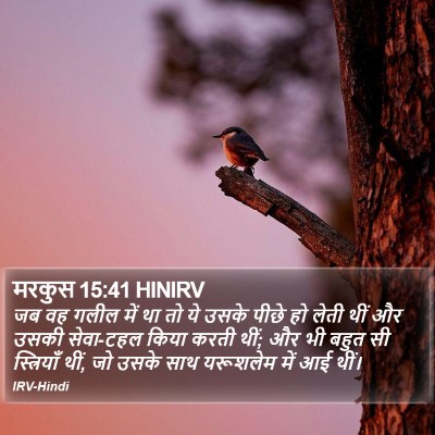 मरकुस 15:41 HINIRV Bible Verse Image