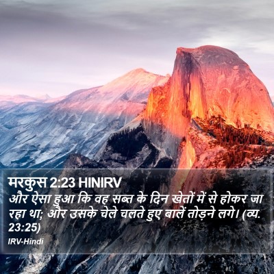 मरकुस 2:23 HINIRV Bible Verse Image
