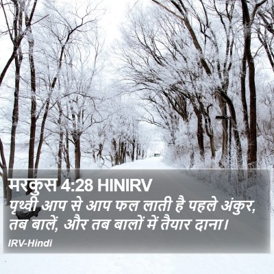 मरकुस 4:28 HINIRV Bible Verse Image
