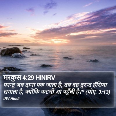 मरकुस 4:29 HINIRV Bible Verse Image
