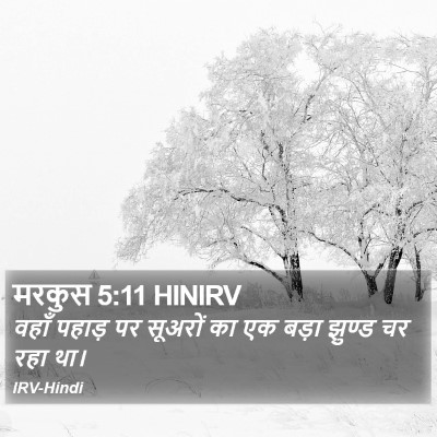 मरकुस 5:11 HINIRV Bible Verse Image