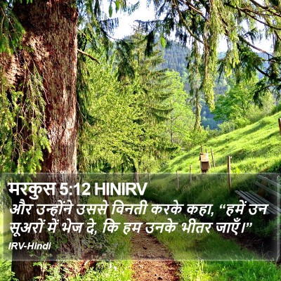 मरकुस 5:12 HINIRV Bible Verse Image