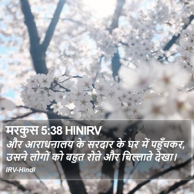 मरकुस 5:38 HINIRV Bible Verse Image
