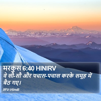 मरकुस 6:40 HINIRV Bible Verse Image