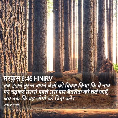मरकुस 6:45 HINIRV Bible Verse Image