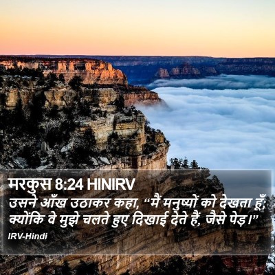 मरकुस 8:24 HINIRV Bible Verse Image