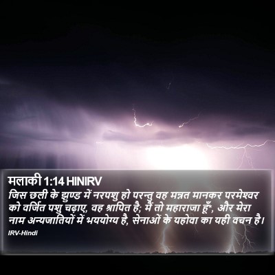 मलाकी 1:14 HINIRV Bible Verse Image