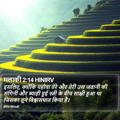 मलाकी 2:14 HINIRV Bible Verse Image