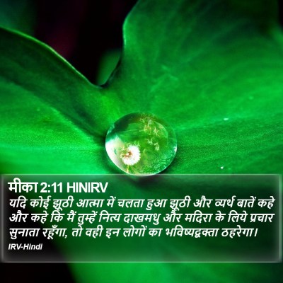 मीका 2:11 HINIRV Bible Verse Image