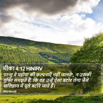 मीका 4:12 HINIRV Bible Verse Image