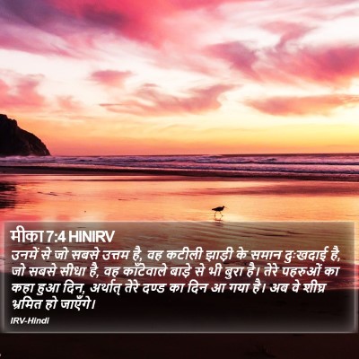 मीका 7:4 HINIRV Bible Verse Image