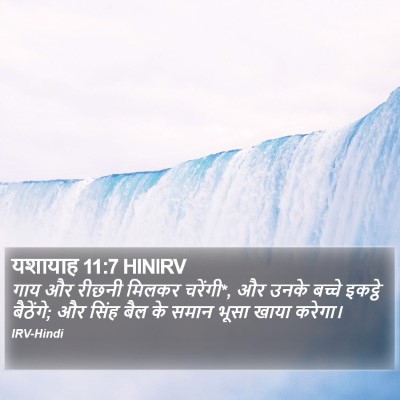 यशायाह 11:7 HINIRV Bible Verse Image