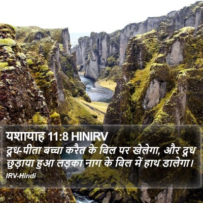 यशायाह 11:8 HINIRV Bible Verse Image