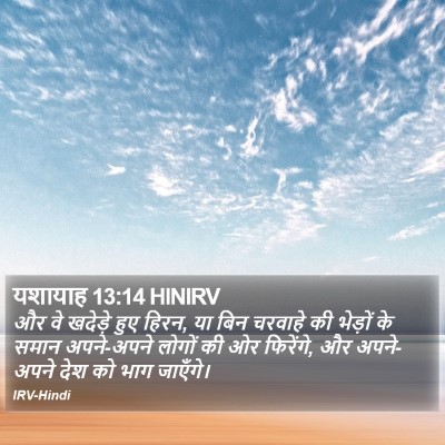 यशायाह 13:14 HINIRV Bible Verse Image