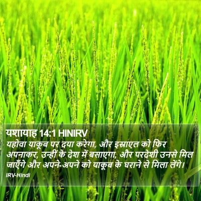 यशायाह 14:1 HINIRV Bible Verse Image