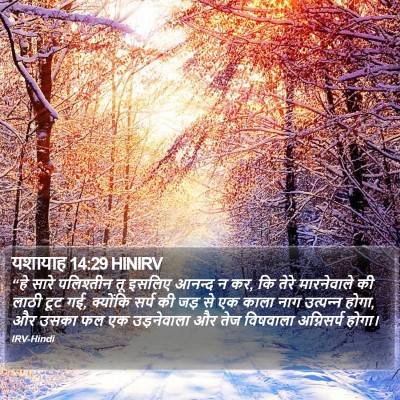 यशायाह 14:29 HINIRV Bible Verse Image