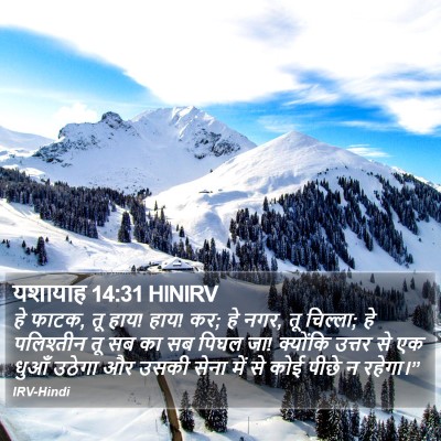 यशायाह 14:31 HINIRV Bible Verse Image