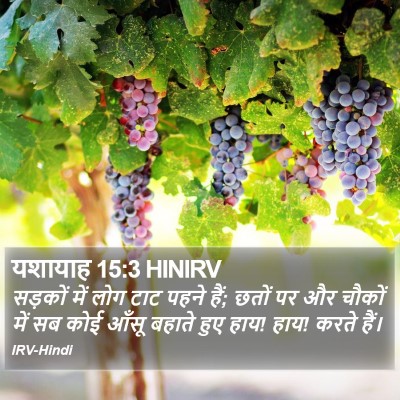 यशायाह 15:3 HINIRV Bible Verse Image