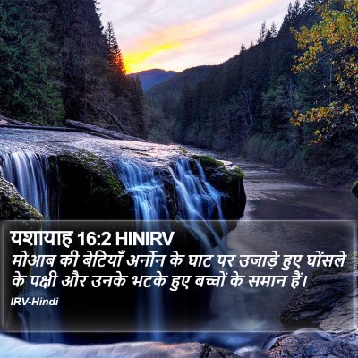 यशायाह 16:2 HINIRV Bible Verse Image
