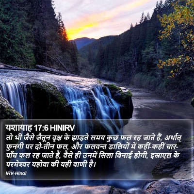 यशायाह 17:6 HINIRV Bible Verse Image