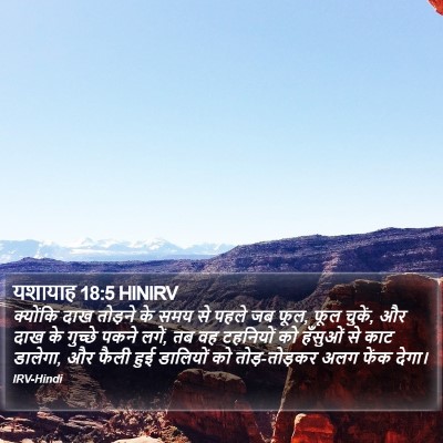यशायाह 18:5 HINIRV Bible Verse Image