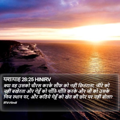यशायाह 28:25 HINIRV Bible Verse Image