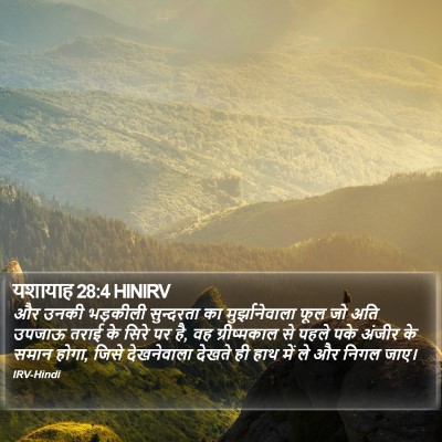 यशायाह 28:4 HINIRV Bible Verse Image