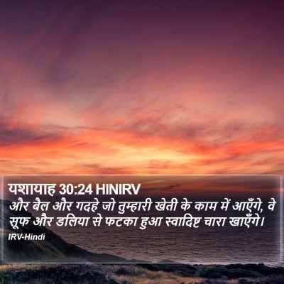यशायाह 30:24 HINIRV Bible Verse Image