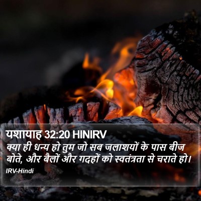 यशायाह 32:20 HINIRV Bible Verse Image