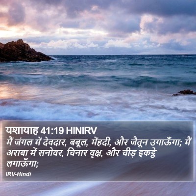 यशायाह 41:19 HINIRV Bible Verse Image