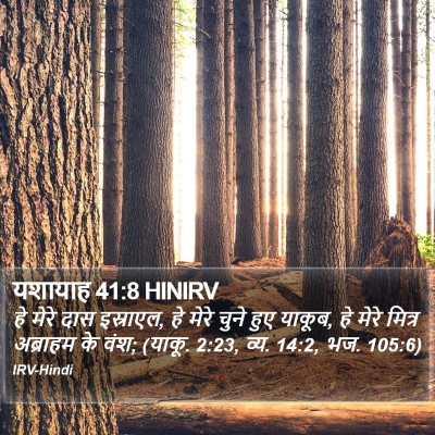 यशायाह 41:8 HINIRV Bible Verse Image