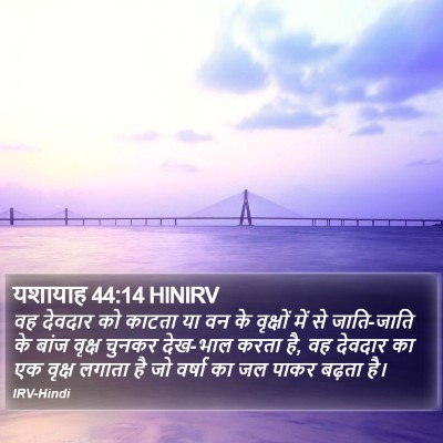 यशायाह 44:14 HINIRV Bible Verse Image