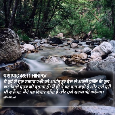 यशायाह 46:11 HINIRV Bible Verse Image