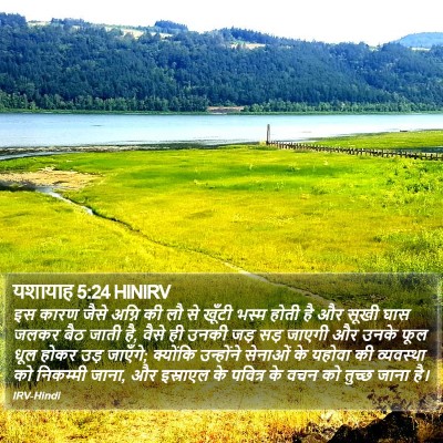 यशायाह 5:24 HINIRV Bible Verse Image