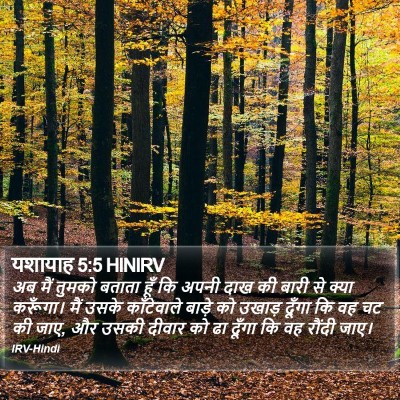 यशायाह 5:5 HINIRV Bible Verse Image