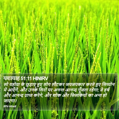 यशायाह 51:11 HINIRV Bible Verse Image