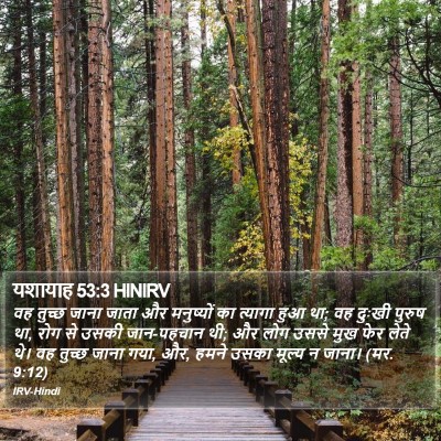 यशायाह 53:3 HINIRV Bible Verse Image