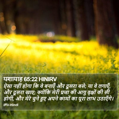 यशायाह 65:22 HINIRV Bible Verse Image